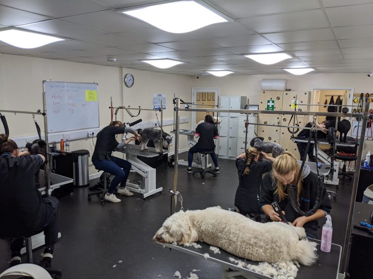Our facilities SouthWarwickshireDogGroomingSchool