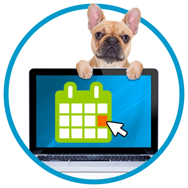 Visit South Warwickshire Dog Grooming