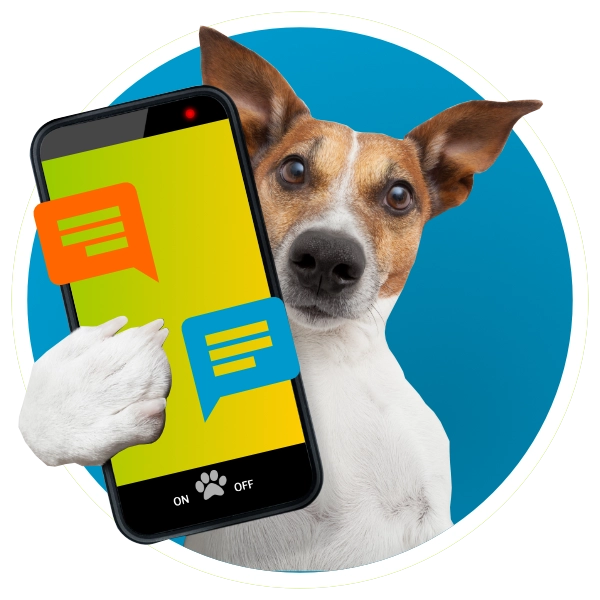 Would you like to chat