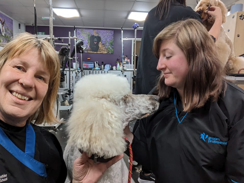 Dog grooming course Bromsgrove