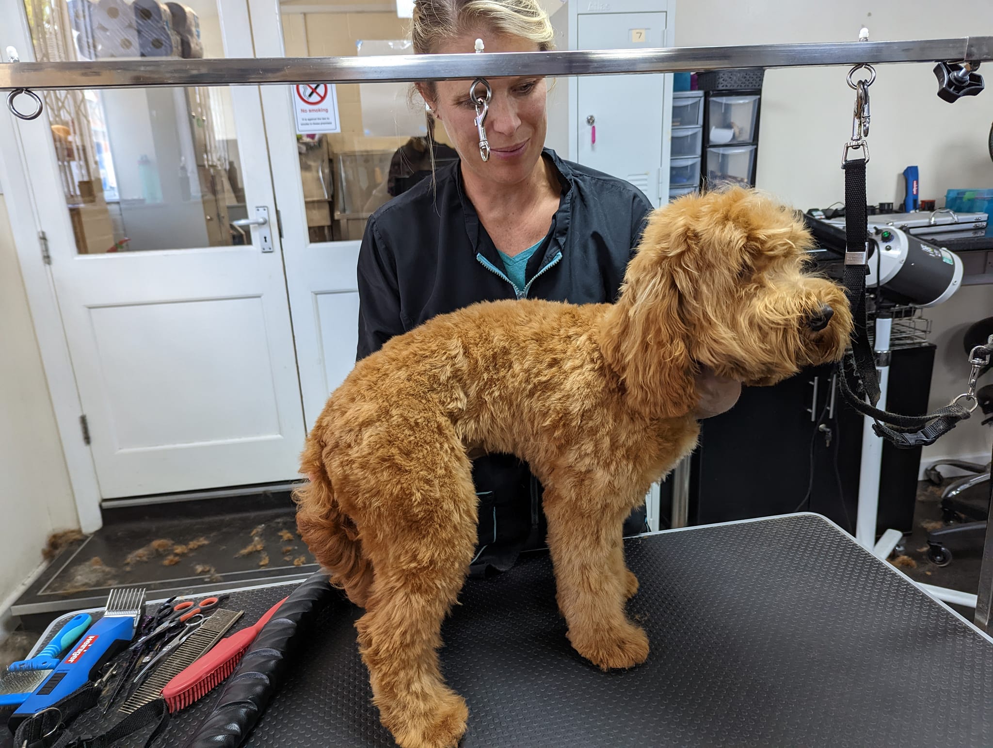 Dog Grooming course Banbury