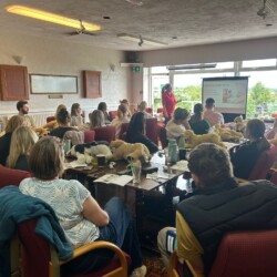 Dog First Aid course Bromsgrove